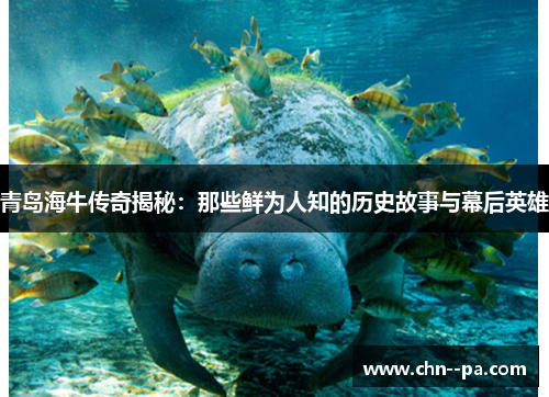 青岛海牛传奇揭秘：那些鲜为人知的历史故事与幕后英雄