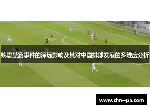 魏震禁赛事件的深远影响及其对中国排球发展的多维度分析