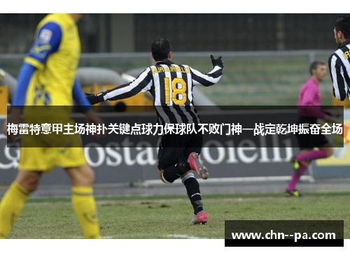 梅雷特意甲主场神扑关键点球力保球队不败门神一战定乾坤振奋全场